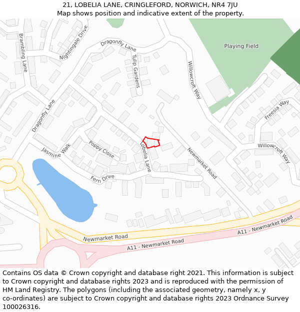 21, LOBELIA LANE, CRINGLEFORD, NORWICH, NR4 7JU: Location map and indicative extent of plot