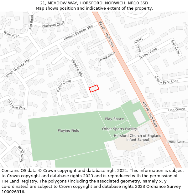 21, MEADOW WAY, HORSFORD, NORWICH, NR10 3SD: Location map and indicative extent of plot