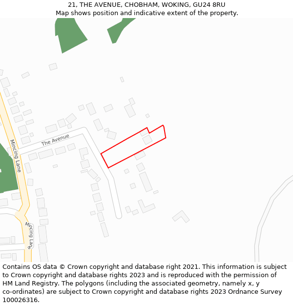 21, THE AVENUE, CHOBHAM, WOKING, GU24 8RU: Location map and indicative extent of plot
