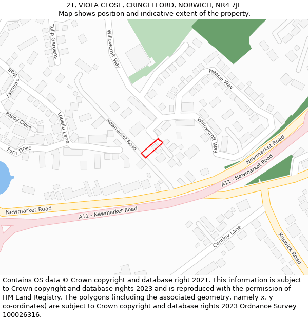 21, VIOLA CLOSE, CRINGLEFORD, NORWICH, NR4 7JL: Location map and indicative extent of plot