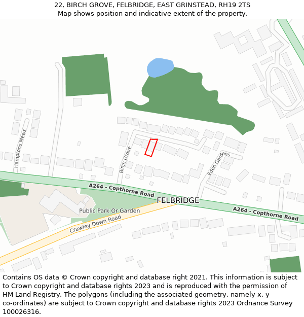 22, BIRCH GROVE, FELBRIDGE, EAST GRINSTEAD, RH19 2TS: Location map and indicative extent of plot