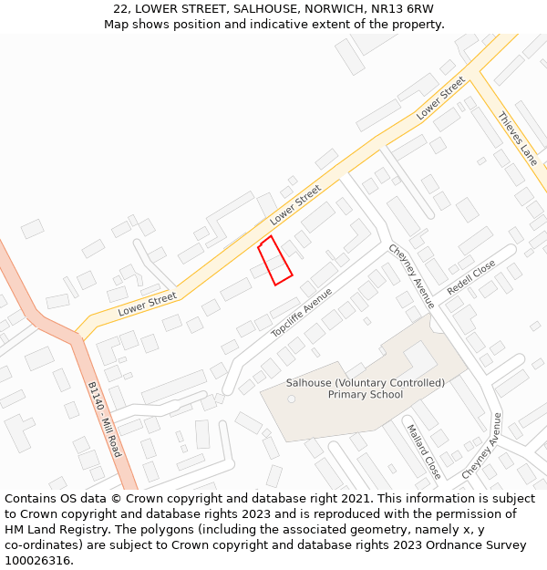 22, LOWER STREET, SALHOUSE, NORWICH, NR13 6RW: Location map and indicative extent of plot