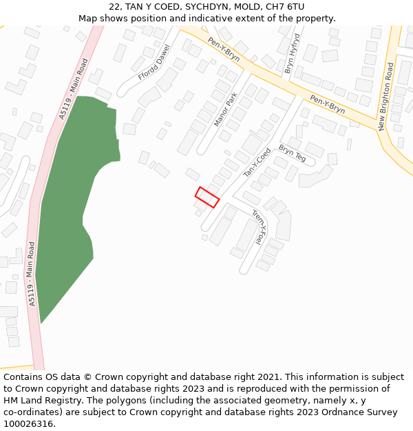 22, TAN Y COED, SYCHDYN, MOLD, CH7 6TU: Location map and indicative extent of plot