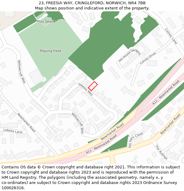 23, FREESIA WAY, CRINGLEFORD, NORWICH, NR4 7BB: Location map and indicative extent of plot