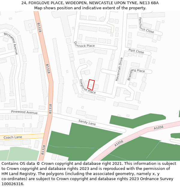 24, FOXGLOVE PLACE, WIDEOPEN, NEWCASTLE UPON TYNE, NE13 6BA: Location map and indicative extent of plot