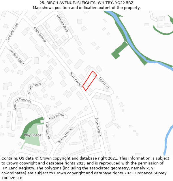 25, BIRCH AVENUE, SLEIGHTS, WHITBY, YO22 5BZ: Location map and indicative extent of plot