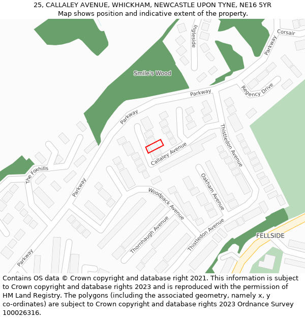 25, CALLALEY AVENUE, WHICKHAM, NEWCASTLE UPON TYNE, NE16 5YR: Location map and indicative extent of plot