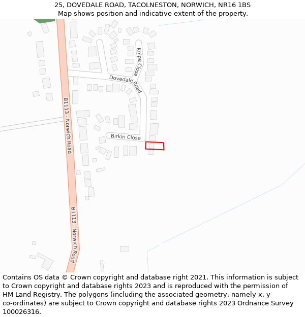 25, DOVEDALE ROAD, TACOLNESTON, NORWICH, NR16 1BS: Location map and indicative extent of plot