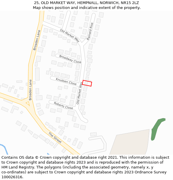 25, OLD MARKET WAY, HEMPNALL, NORWICH, NR15 2LZ: Location map and indicative extent of plot