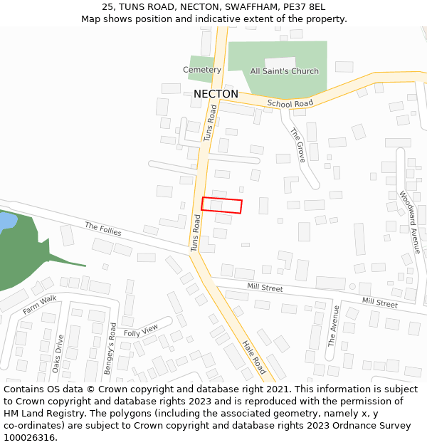 25, TUNS ROAD, NECTON, SWAFFHAM, PE37 8EL: Location map and indicative extent of plot