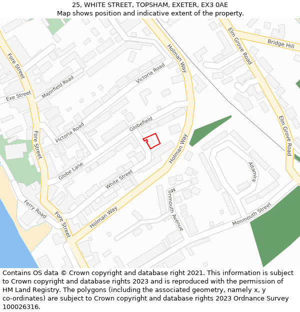 25, WHITE STREET, TOPSHAM, EXETER, EX3 0AE: Location map and indicative extent of plot