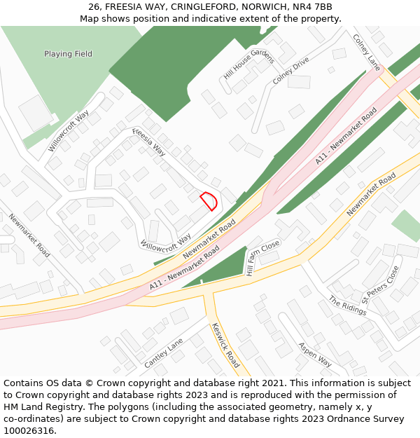 26, FREESIA WAY, CRINGLEFORD, NORWICH, NR4 7BB: Location map and indicative extent of plot