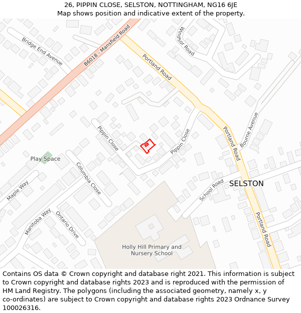 26, PIPPIN CLOSE, SELSTON, NOTTINGHAM, NG16 6JE: Location map and indicative extent of plot