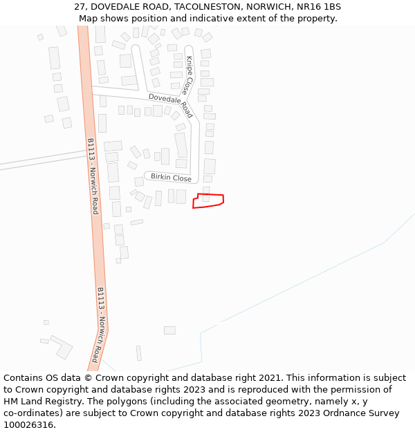 27, DOVEDALE ROAD, TACOLNESTON, NORWICH, NR16 1BS: Location map and indicative extent of plot