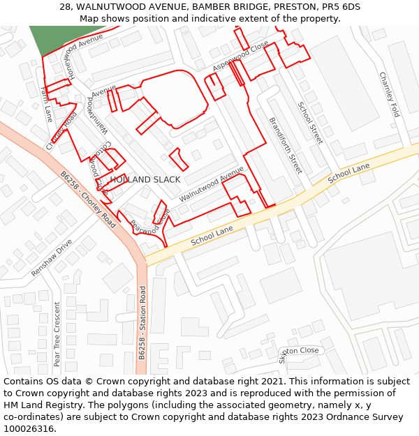 28, WALNUTWOOD AVENUE, BAMBER BRIDGE, PRESTON, PR5 6DS: Location map and indicative extent of plot
