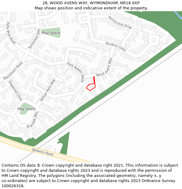 28, WOOD AVENS WAY, WYMONDHAM, NR18 0XP: Location map and indicative extent of plot