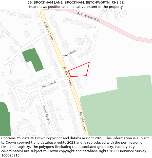 29, BROCKHAM LANE, BROCKHAM, BETCHWORTH, RH3 7EJ: Location map and indicative extent of plot