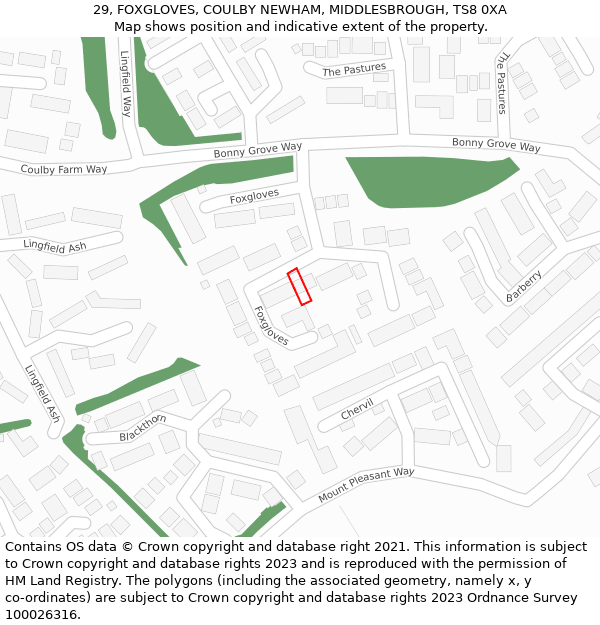 29, FOXGLOVES, COULBY NEWHAM, MIDDLESBROUGH, TS8 0XA: Location map and indicative extent of plot