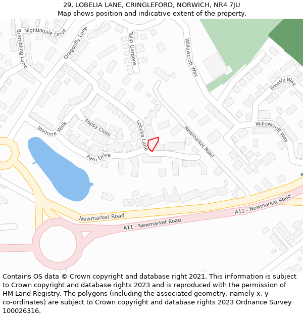 29, LOBELIA LANE, CRINGLEFORD, NORWICH, NR4 7JU: Location map and indicative extent of plot