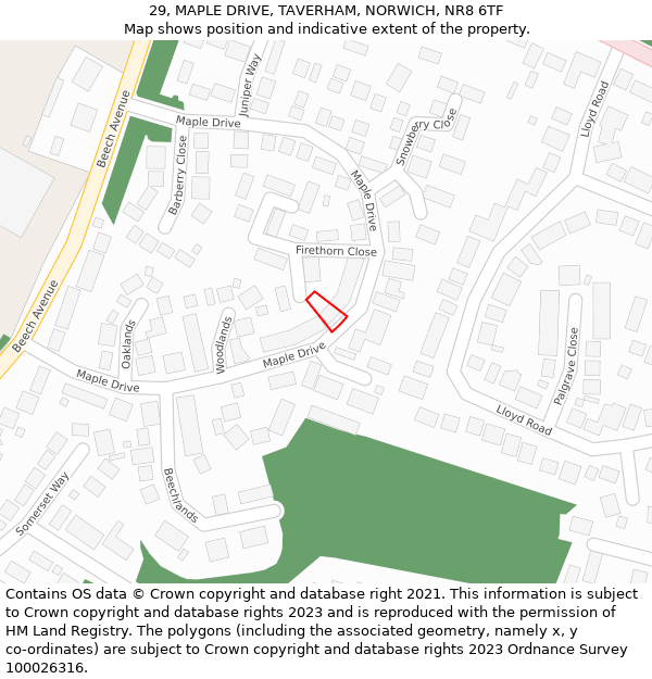 29, MAPLE DRIVE, TAVERHAM, NORWICH, NR8 6TF: Location map and indicative extent of plot