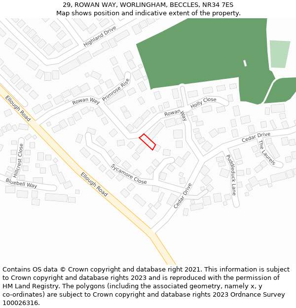 29, ROWAN WAY, WORLINGHAM, BECCLES, NR34 7ES: Location map and indicative extent of plot