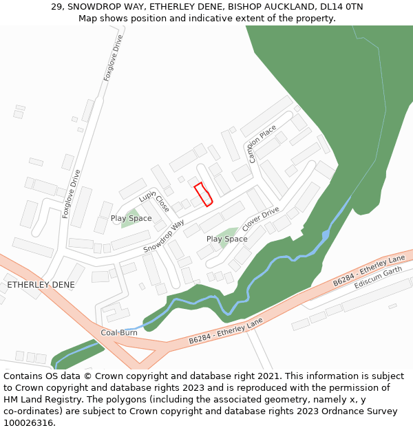 29, SNOWDROP WAY, ETHERLEY DENE, BISHOP AUCKLAND, DL14 0TN: Location map and indicative extent of plot