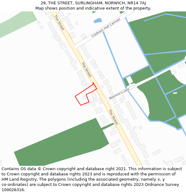 29, THE STREET, SURLINGHAM, NORWICH, NR14 7AJ: Location map and indicative extent of plot