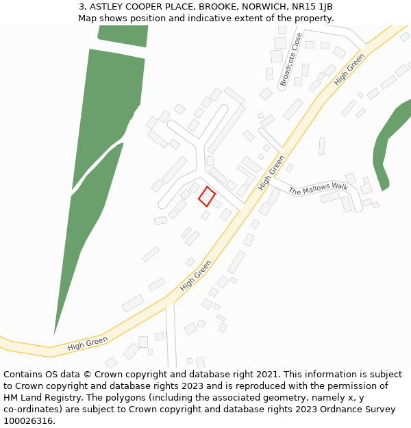 3, ASTLEY COOPER PLACE, BROOKE, NORWICH, NR15 1JB: Location map and indicative extent of plot