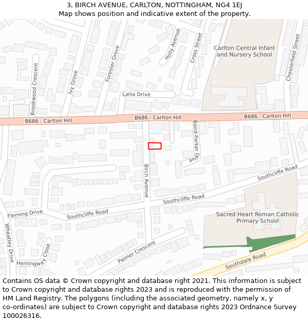 3, BIRCH AVENUE, CARLTON, NOTTINGHAM, NG4 1EJ: Location map and indicative extent of plot
