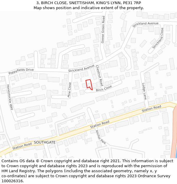 3, BIRCH CLOSE, SNETTISHAM, KING'S LYNN, PE31 7RP: Location map and indicative extent of plot