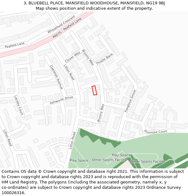 3, BLUEBELL PLACE, MANSFIELD WOODHOUSE, MANSFIELD, NG19 9BJ: Location map and indicative extent of plot