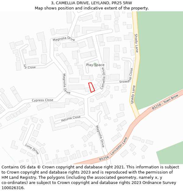 3, CAMELLIA DRIVE, LEYLAND, PR25 5RW: Location map and indicative extent of plot