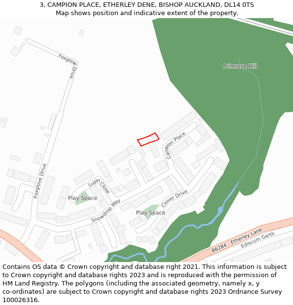 3, CAMPION PLACE, ETHERLEY DENE, BISHOP AUCKLAND, DL14 0TS: Location map and indicative extent of plot