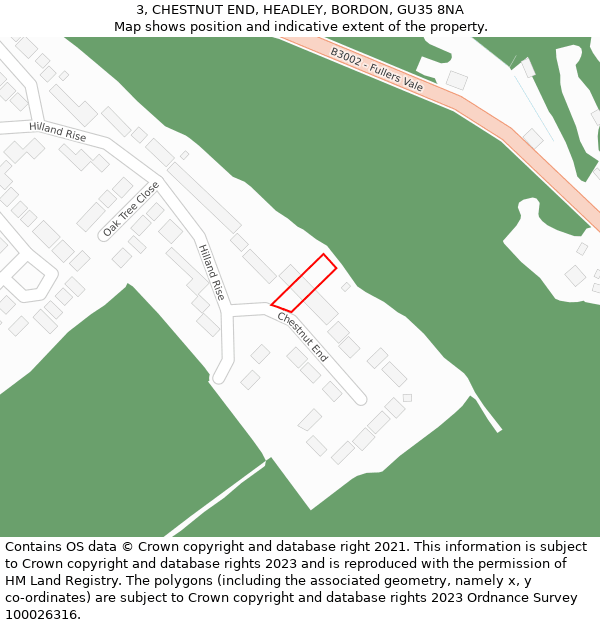 3, CHESTNUT END, HEADLEY, BORDON, GU35 8NA: Location map and indicative extent of plot