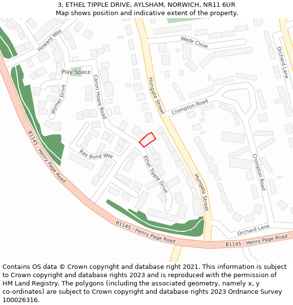 3, ETHEL TIPPLE DRIVE, AYLSHAM, NORWICH, NR11 6UR: Location map and indicative extent of plot