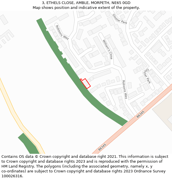 3, ETHELS CLOSE, AMBLE, MORPETH, NE65 0GD: Location map and indicative extent of plot