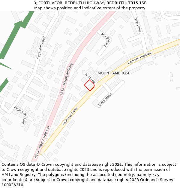 3, FORTHVEOR, REDRUTH HIGHWAY, REDRUTH, TR15 1SB: Location map and indicative extent of plot
