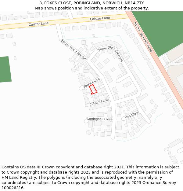 3, FOXES CLOSE, PORINGLAND, NORWICH, NR14 7TY: Location map and indicative extent of plot