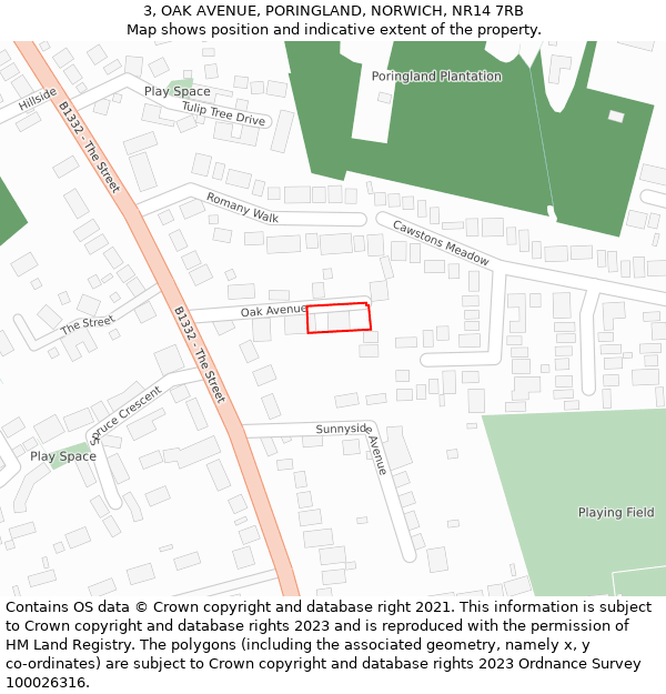 3, OAK AVENUE, PORINGLAND, NORWICH, NR14 7RB: Location map and indicative extent of plot