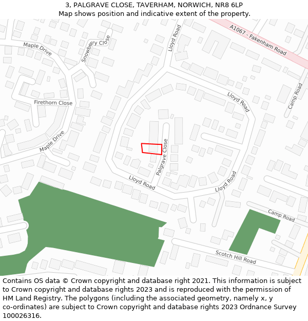 3, PALGRAVE CLOSE, TAVERHAM, NORWICH, NR8 6LP: Location map and indicative extent of plot