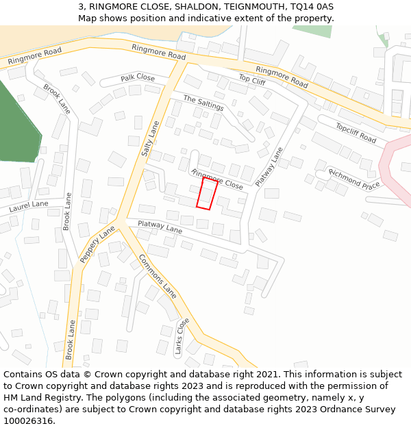 3, RINGMORE CLOSE, SHALDON, TEIGNMOUTH, TQ14 0AS: Location map and indicative extent of plot