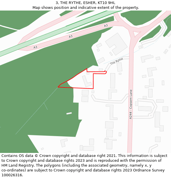 3, THE RYTHE, ESHER, KT10 9HL: Location map and indicative extent of plot