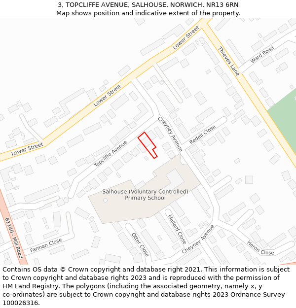 3, TOPCLIFFE AVENUE, SALHOUSE, NORWICH, NR13 6RN: Location map and indicative extent of plot