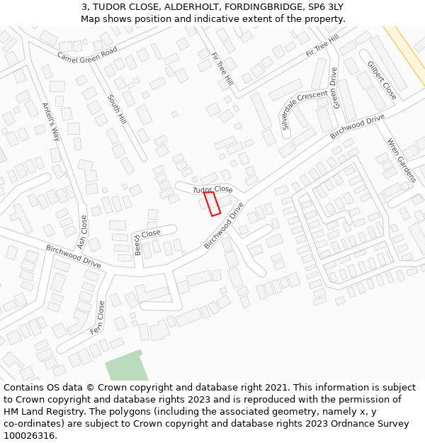 3, TUDOR CLOSE, ALDERHOLT, FORDINGBRIDGE, SP6 3LY: Location map and indicative extent of plot