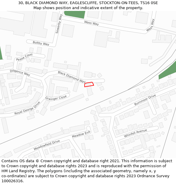 30, BLACK DIAMOND WAY, EAGLESCLIFFE, STOCKTON-ON-TEES, TS16 0SE: Location map and indicative extent of plot