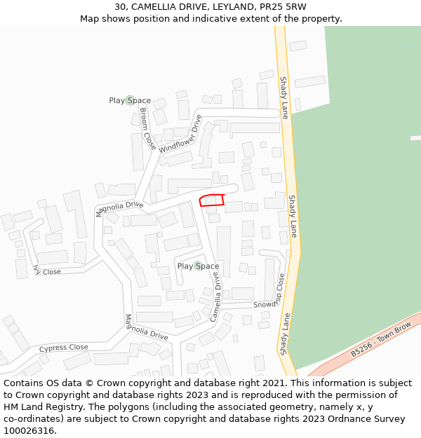 30, CAMELLIA DRIVE, LEYLAND, PR25 5RW: Location map and indicative extent of plot