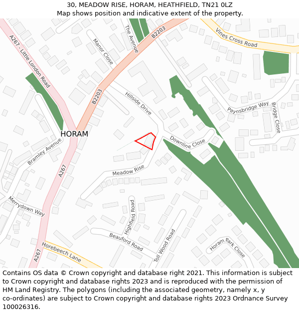 30, MEADOW RISE, HORAM, HEATHFIELD, TN21 0LZ: Location map and indicative extent of plot