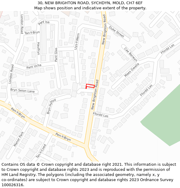 30, NEW BRIGHTON ROAD, SYCHDYN, MOLD, CH7 6EF: Location map and indicative extent of plot