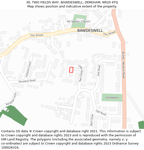 30, TWO FIELDS WAY, BAWDESWELL, DEREHAM, NR20 4TQ: Location map and indicative extent of plot