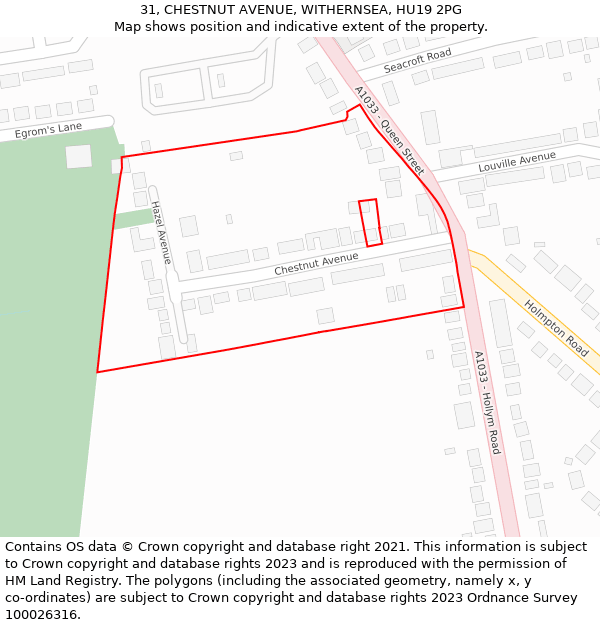 31, CHESTNUT AVENUE, WITHERNSEA, HU19 2PG: Location map and indicative extent of plot